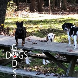 Meet your Posher, Paige